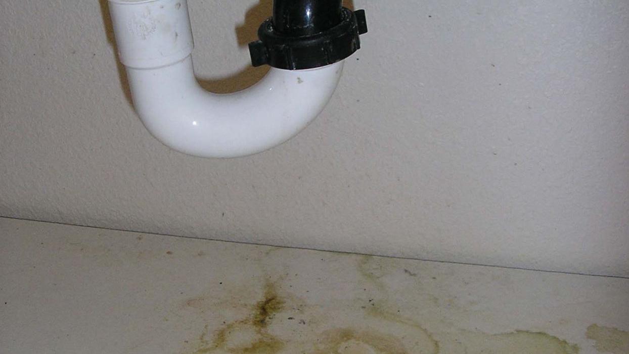What if the kitchen baseboards seem damp?
